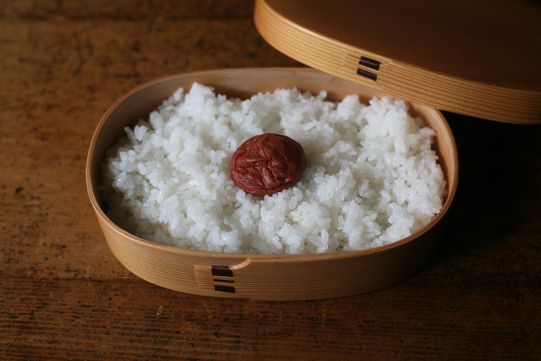 Kurikyu Magewappa Lunch Box Bentobox