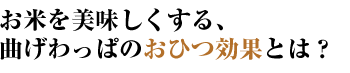 栗久 曲げわっぱ おひつ